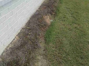 Kenneth C.'s Flower Bed Weeding service result
