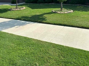 Nana N.'s grass maintenance service result