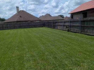 Jeriann N.'s turf maintenance service result