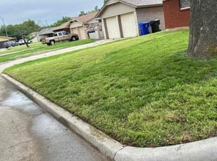 Concepcion C.'s grass maintenance service result