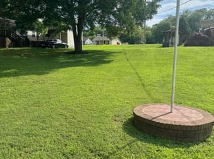 Sean K.'s turf care service result