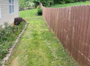 James B.'s grass cutting service result