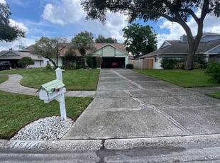 Kelly J.'s turf maintenance service result