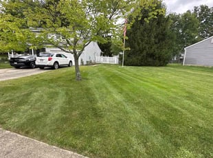 Martin H.'s grass cutting service result