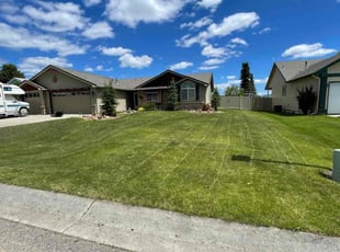 Connie M.'s turf maintenance service result