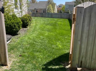 Margaret T.'s lawn care service result