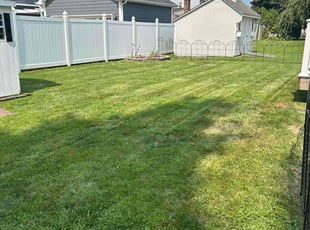 Tony K.'s landscaping services service result