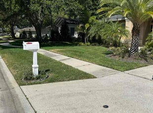 Marina I.'s grass cutting service result
