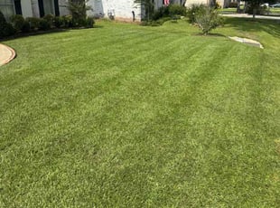 Mckenna W.'s lawn service service result