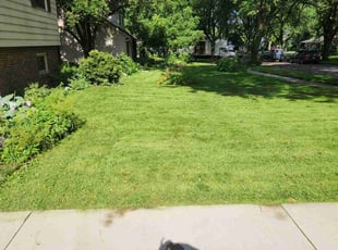 David D.'s turf maintenance service result