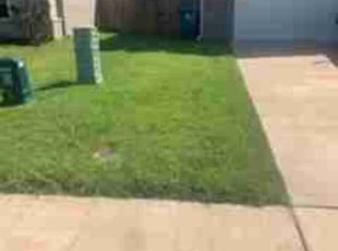 Dianna P.'s turf care service result