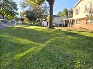 Rhonda K.'s grass cutting service result