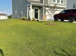 Tammy L.'s lawn service service result