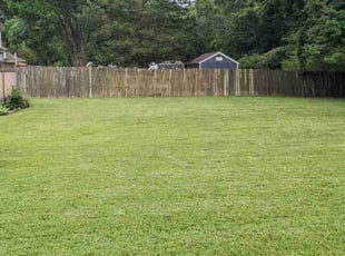 Donald P.'s grass cutting service result