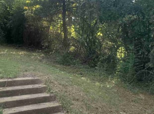 Leon E.'s Bush Trimming service result