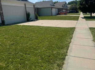 Denise M.'s turf care service result