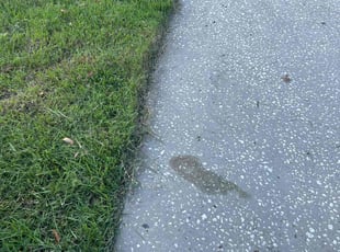 Kendra N.'s lawn maintenance service result