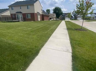 Brian V.'s turf maintenance service result