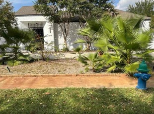 Cassie R.'s lawn maintenance service result