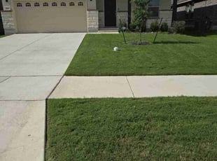 Billy P.'s turf care service result