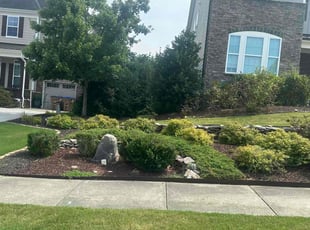 Bobbie S.'s lawn care services service result