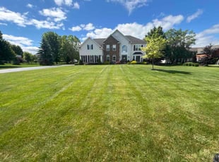 Chuck B.'s grass cutting service result
