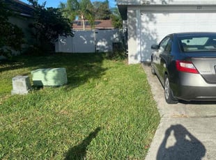 Sarah D.'s turf care service result