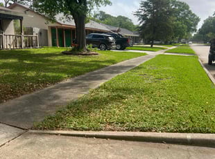 Maria R.'s lawn care services service result
