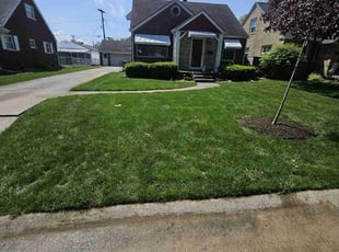 Michael K.'s turf maintenance service result