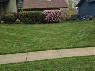 Shannon Y.'s lawn care services service result