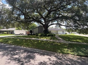 Joseph B.'s turf maintenance service result