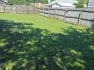 Dennis F.'s lawn maintenance service result