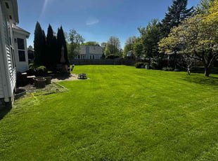Lenore P.'s turf maintenance service result