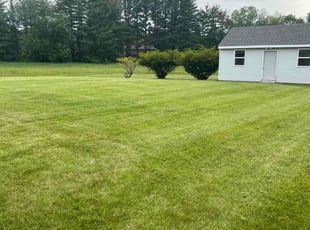 Joy B.'s grass maintenance service result