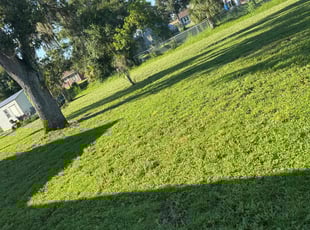 Erica G.'s grass maintenance service result