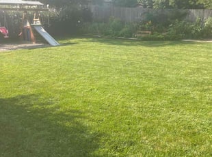 Quoc D.'s turf care service result