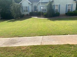 Khammon K.'s grass maintenance service result