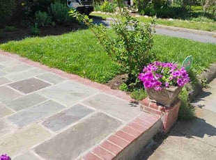 Phyllis A.'s turf maintenance service result