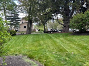 Meka W.'s grass cutting service result