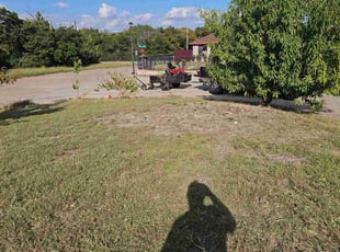 Kerman F.'s Long Grass Cleanup service result