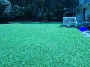 Jonathon A.'s lawn service service result