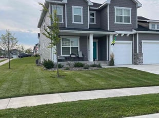 Jamelle P.'s grass maintenance service result