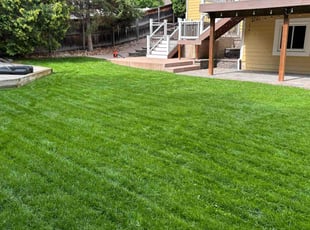 Kassie D.'s grass maintenance service result