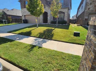 Steve P.'s grass cutting service result