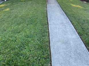 John L.'s grass maintenance service result