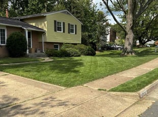 George S.'s lawn care services service result