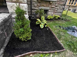 Diane L.'s Flower Bed Weeding service result