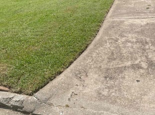 TERRY H.'s lawn care services service result