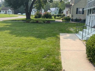 Monte D.'s lawn maintenance service result