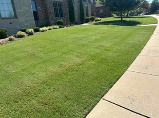 Michael L.'s lawn maintenance service result